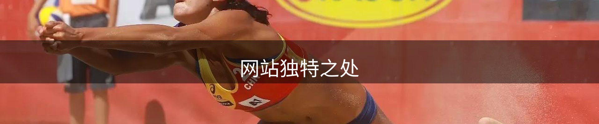 网站独特之处